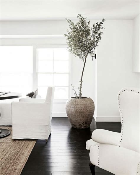 Benjamin Moore Alabaster Vs White Dove: What's the Difference?