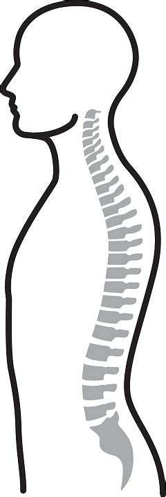 Chiropractic Clipart - ClipArt Best