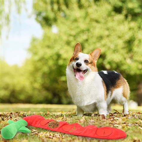 Twegin Dog Interactive Toys For Boredom,Dog Squeak Toys For Puppy Foraging Training (Rose ...