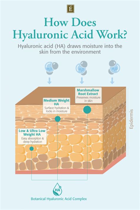 Hyaluronic Acid: A Deep Dive Into Its Benefits For Skin Health - Best ...