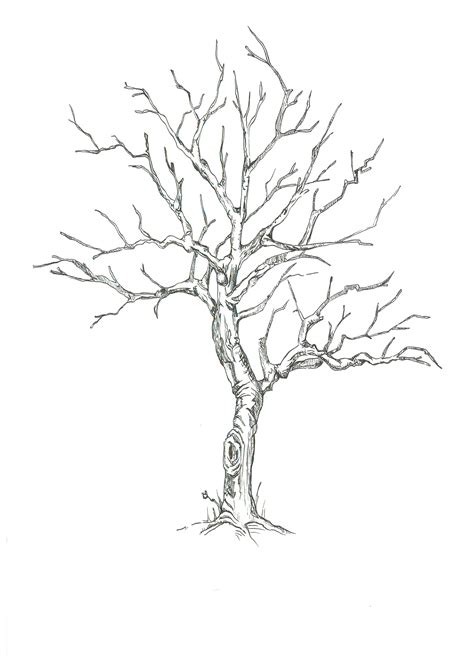 Spring Tree Drawing at GetDrawings | Free download