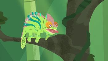 Parson's Chameleon | Wild Kratts Wiki | FANDOM powered by Wikia