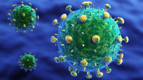 Study of HIV evolution shows the virus is adapting to human hosts