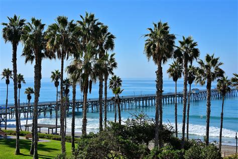 San Clemente Pier and Palm Trees in San Clemente, California - Encircle ...