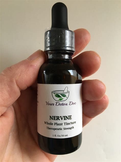 Nervine Herbal Tincture Blend Nerve Health Organic Calming | Etsy