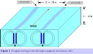 Thalassic Explorations: Langmuir Circulation