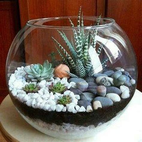 34 Inspiring Indoor Garden Succulent Ideas - MAGZHOUSE