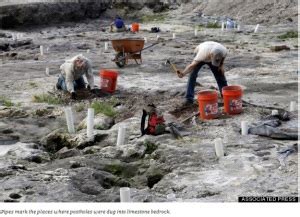 | Tequesta Native American village artifacts uncovered in downtown ...