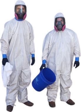 Mold Remediation Services Loveland CO | Residential & Commercial Mold Removal