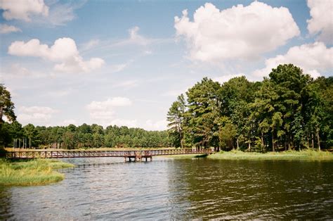 Martin Creek Lake - Texas Vibes