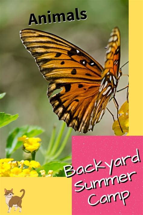 Backyard Summer Camp: Animal Theme - Forgetful Momma Animal Activities ...