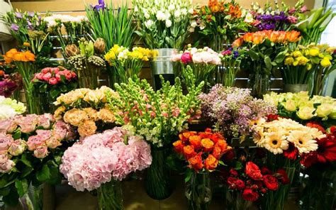 Best Flower Shops in Dubai: Permual, Blossoms & More - MyBayut