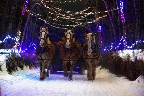 Where to Find the BEST Christmas Lights in Alberta (updated for 2022)