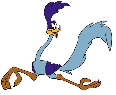 roadrunner run picture, roadrunner run wallpaper