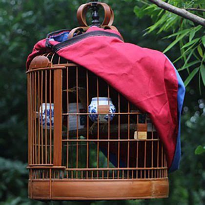 6 Bird Cage Covers For Sale: Large Cage Covers for Parrots and Birds