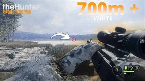 The Hunter Call of the Wild - BEST MODS - Realistic Shoot at 700M+ - YouTube