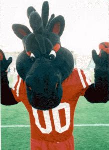 Mascot Monday: Peruna | KC College Gameday