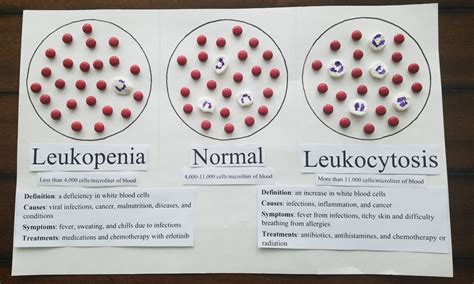 Leukocytosis - Definition and Examples - Biology Online Dictionary