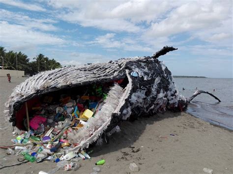 A Giant Beached Whale Illustrates the Plastic Pollution Problem | Plastic Pollution Coalition