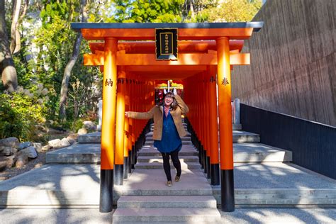 Everything You Need to Know about Visiting Shrines and Temples in Kyoto ...