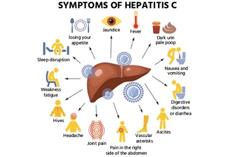 Hepatitis C Symptoms In Men