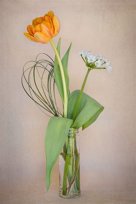 Free photo: Flowers, Tulip, Orange, Flower Vase - Free Image on Pixabay - 1326775