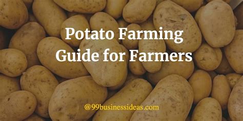 Potato Farming Guide - Cultivation Process, Yield, Varieties