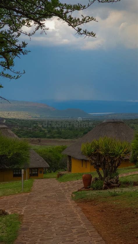 Landscape of the African Savannah Stock Image - Image of green, grass ...