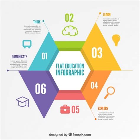 Free Vector | Education infographic template | Educational infographic ...