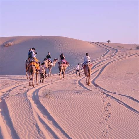 Jaisalmer Desert Safari | Camel Safari – Rajasthan Royals Holidays