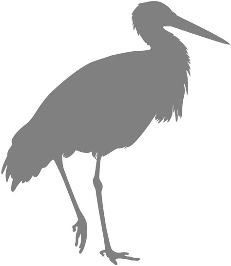 Crane Bird Silhouette | Free vector silhouettes