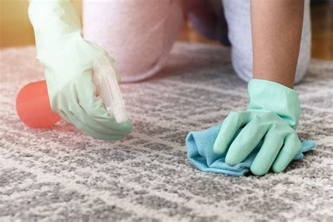 How to Clean Carpets Without a Machine | The Family Handyman