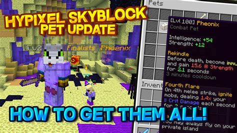 20+ Best Starter Pets Hypixel Skyblock - healthinvestsite