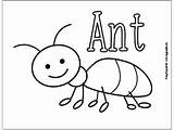 Ant Coloring Pages For Preschoolers sketch template