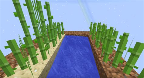 How To Grow Sugar Cane In Minecraft? – GeekyFlow