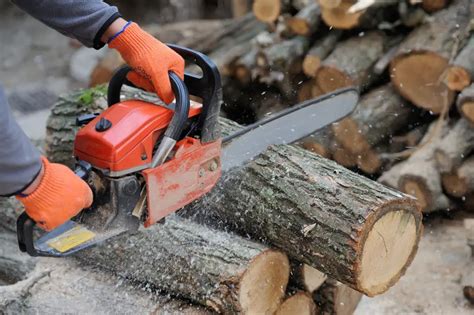 Chainsaw Chain Direction - 15+ Useful Tips