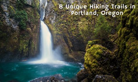 8 Unique Hiking Trails in Portland, Oregon-A Must See