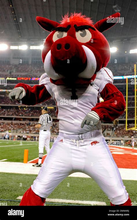 Arkansas razorbacks mascot hi-res stock photography and images - Alamy