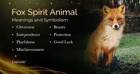 Fox Symbolism and Meaning and the Fox Spirit Animal | Fox spirit, Spirit animal, Fox symbolism