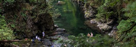 Twin Falls Bridge in North Vancouver Just a short walk down from the Lynn Canyon Suspension ...