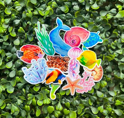 Sea Life Stickers 14 Stickers Watercolor Stickers - Etsy