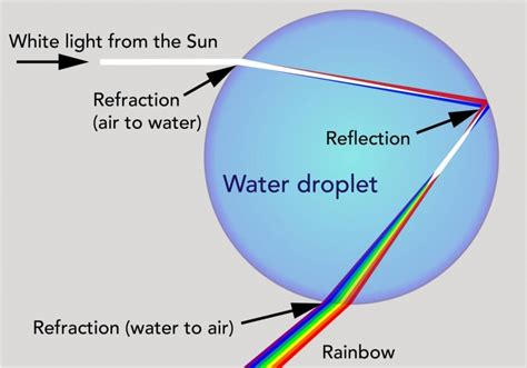 What's in a Rainbow? - Let's Talk Science