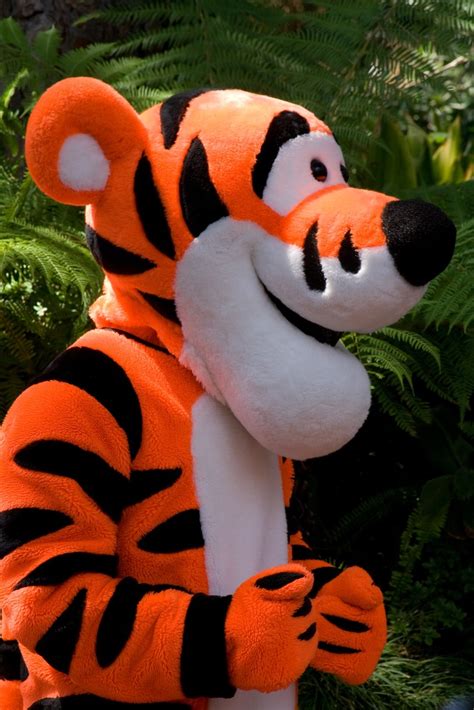 big Tigger | Disney world pictures, Tigger, Big tigger