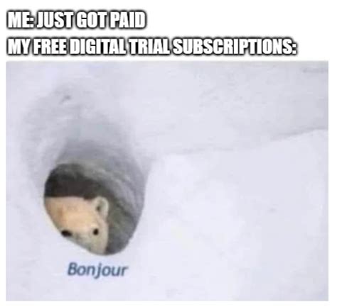 free digital trial subscription - Meme by mikibicky :) Memedroid