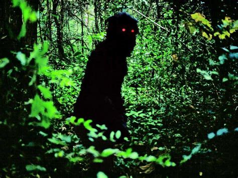 Movie Reviews - 'Uncle Boonmee Who Can Recall His Past Lives' : NPR