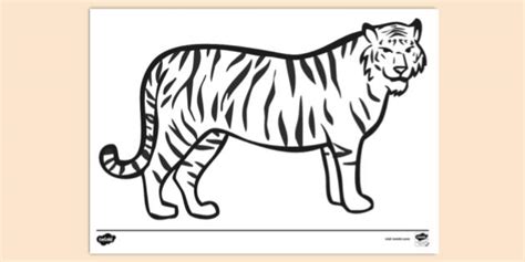 FREE! - Tiger Colouring Page to Print | Colouring Sheets