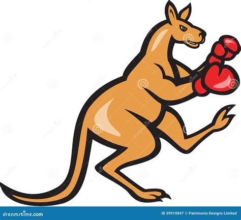 Kangaroo Kick Boxer Boxing Cartoon Stock Illustration - Image: 39919847