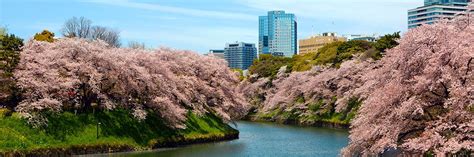 Weather in Tokyo - Climate and temperature in Tokyo