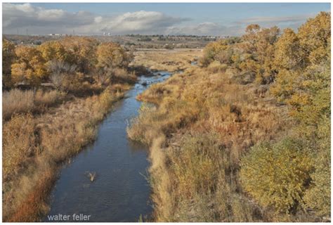 Mojave River: A Unique Desert River