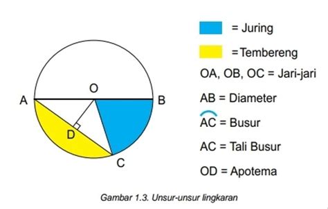 Unsur-Unsur Lingkaran: Titik Pusat hingga Sudut Keliling | kumparan.com